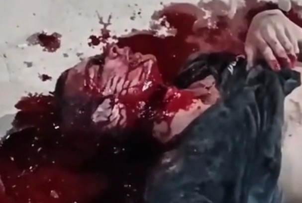 REVENGE: Fresh out of Prison (Family Waited)