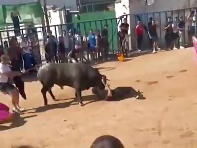 Bull Takes No Prisoners