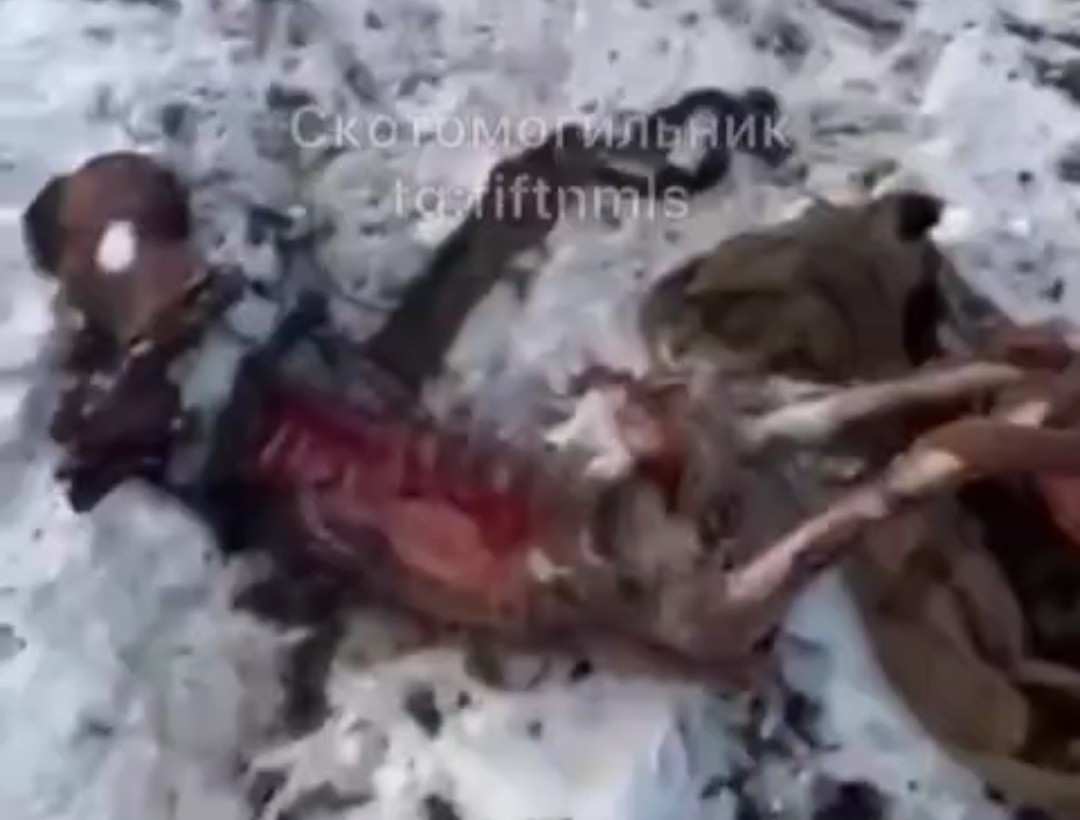 Armless Ukrainian zombie, exposed bones, rotten. 