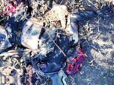 Eew...Supremacist Russian Piglet Gets Slapped & Mushed