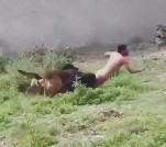 Pack of Dogs Savagely Attack Man