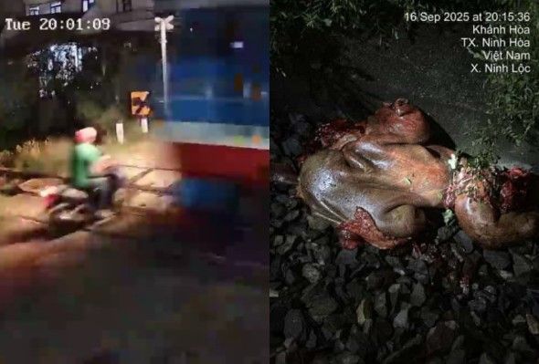 Motorcyclist Had No Chance To Survive