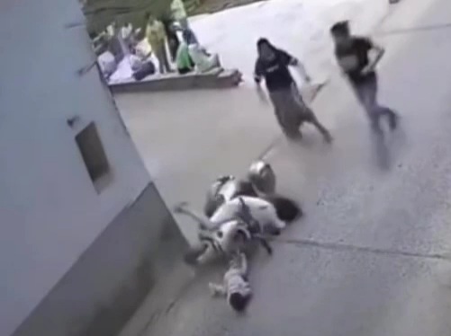 Vietnamese girl riding moped hit little child and crash into the wall