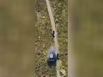 Russian scooter bros