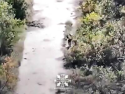 FPV gave the russhit a kick in the ass.