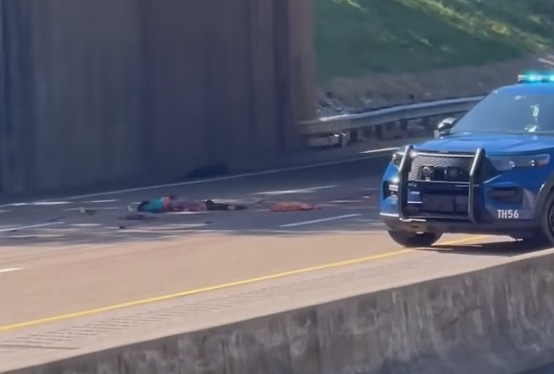 Man jumped off a bridge in Memphis and got hit by passing cars