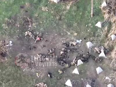 Dead Russhits everywhere