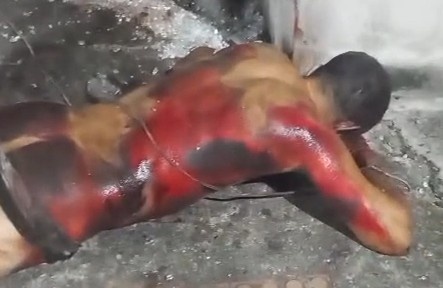 Man who raped a dog was brutally murdered in Brazil