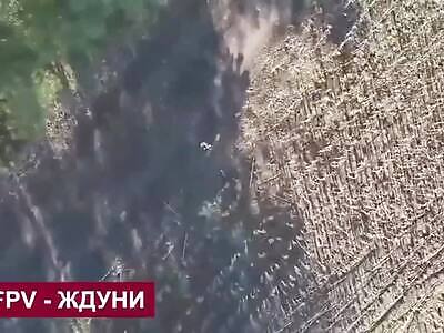 Dead Russians comp IV (October 7, 2025)