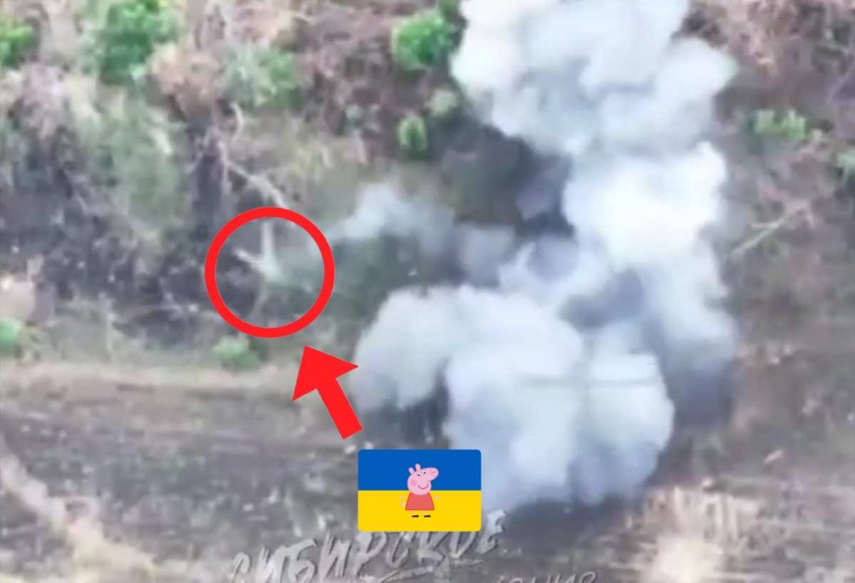 Who said pigs can't fly? 