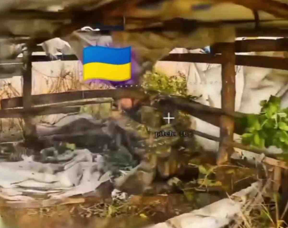 No idea how he survived, but not by much.