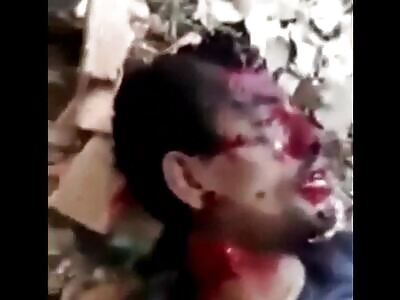 More Random Gore And Death (Compilation)