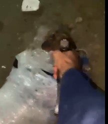 man wrapped as a gift was executed by rivals