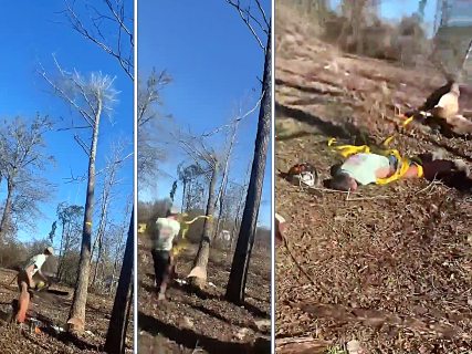 Final Destination: Strap Catapults Crushing Logger