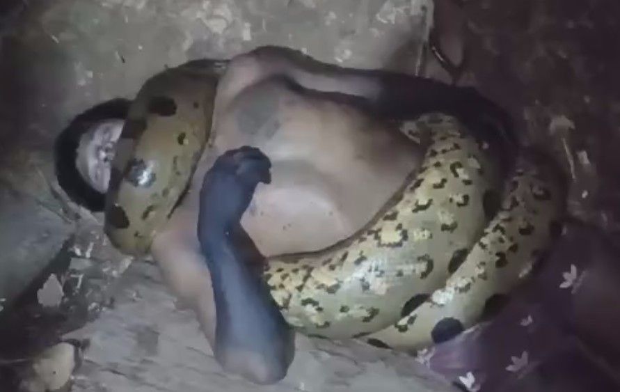Man Killed By Anaconda In Peru (Clean Video)