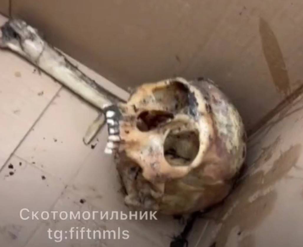 Dead Ukrainians are used as Halloween decorations. 