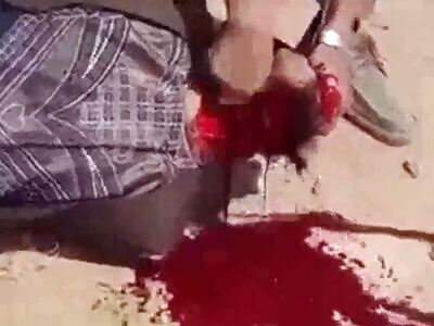 Brutal Gore And Death (Compilation)