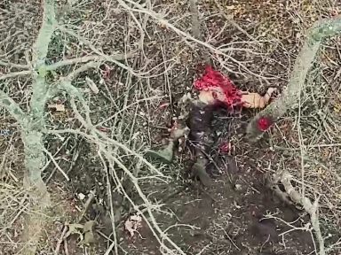 Comp: Once You Pop, You Can't Stop (Chop Russians)