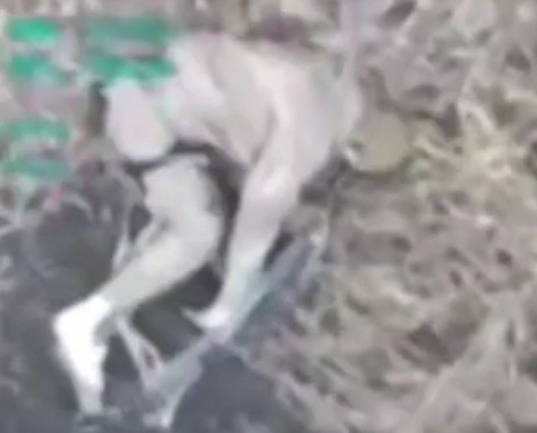 Ukrainian Has Had Enough... Ends the War, For Himself. 