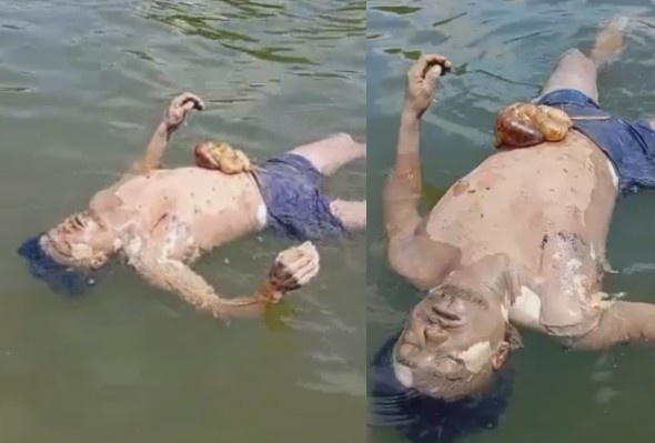 Swimming With Guts Out May Cause A Bacterial Infection