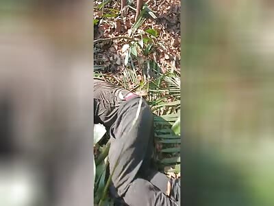 The killer tree killed the man.