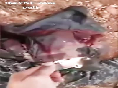 Bodies of Syrian coalition fighters killed in Aleppo