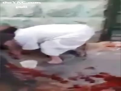 Aleppo are littered with killed,