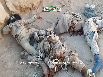 ISIS Killed by Hezbollah