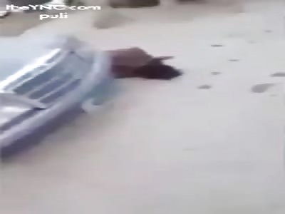 Assassination mania mob terrorist criminal # Iraq