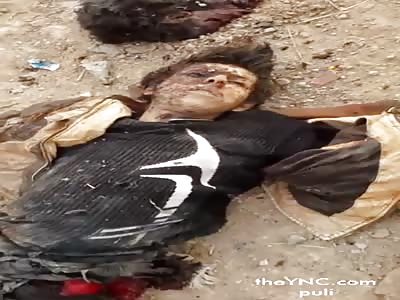 Rats Daesh Hezbollah Brigades