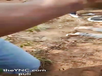 Accident that killed IN BRAZIL DIRECTOR OF BANK AND TWO more people in Autazes(video1)