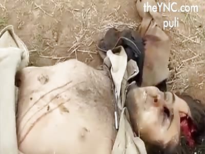 People crowd in the horse village in Mosul