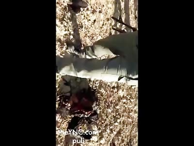 Soldier killed in battle