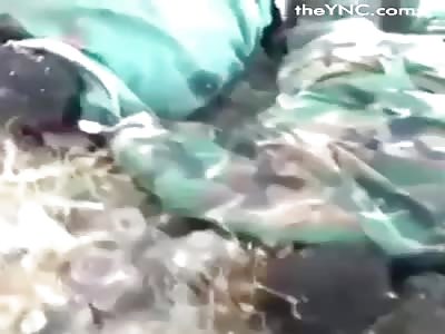 Some militiamen died in the north of Hama