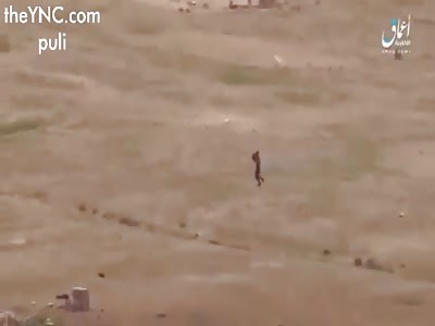 ISIS attacks against Assad pro