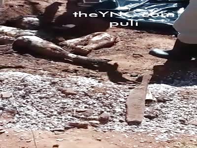 Body found in decomposition