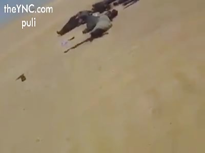 Iraq Massacre to a bus leaves 36 dead