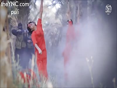 New executions of isis