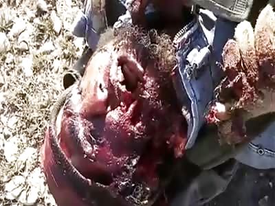 Awesome video shows soldiers fallen in battle(video2)