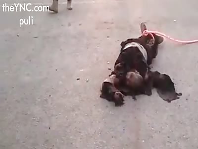 Pitched battle shows soldiers fallen in battle