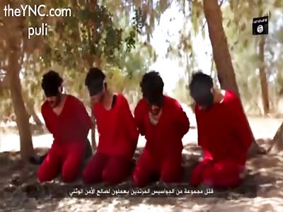 New isis execution