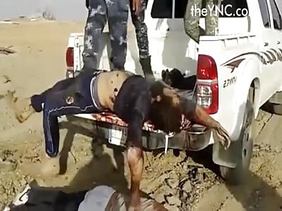 soldiers fallen in battle