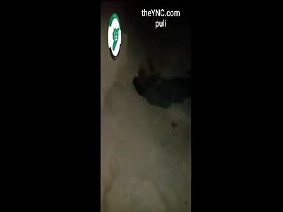 execution of a Pentagon rat