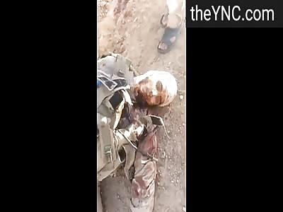 Bodies Fallen in Battle