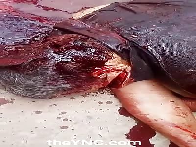 Gruesome Footage of Trucker Hacked to Death