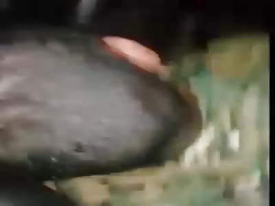 Drug dealer was killed inside his car 