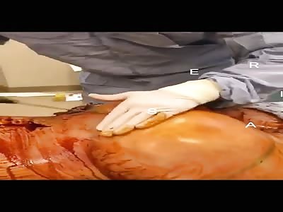 EVERYTHING FOR HAVING A GOOD REAR