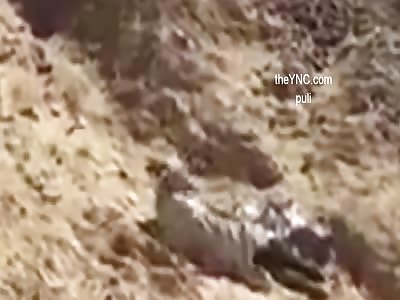  Execution with AK-47