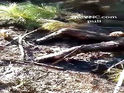 partially burned corpse with cut hands and feet and decapitated.