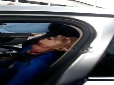 DEAD THIEF IN POLICE PERSECUTION